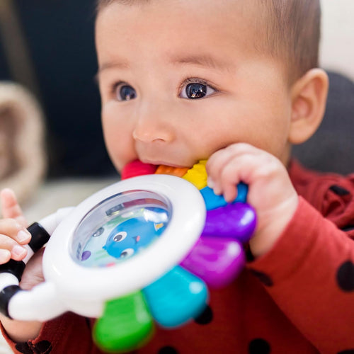 Baby Einstein Sensory Rattle Teether – Soothing & Engaging Toy for Babies 3+ Months